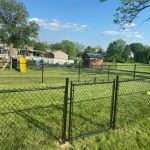 Best Dog Fences for Keeping Your Pup Safe and Secure
