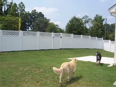 Read more about the article How Durable are Vinyl Fences for Dogs?