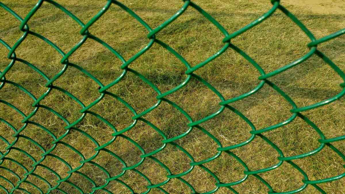 Green chain link fencing