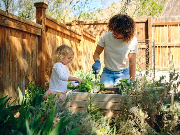 What Makes for the Safest Outdoor Fences for Kids