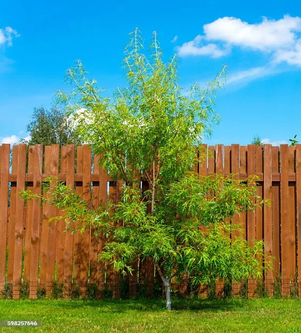 shadowbox wooden fence company in Bethlehem, PA