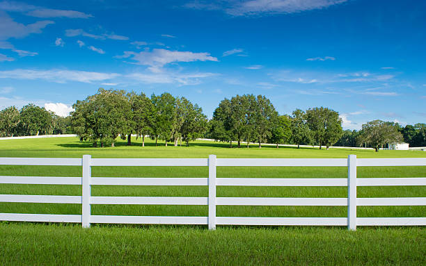 how much does a vinyl fence cost
